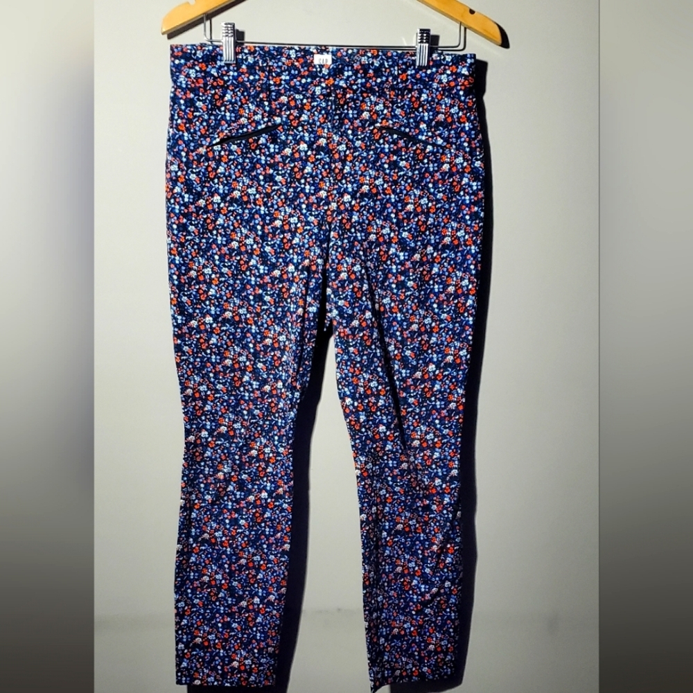 Size 6 Regular Skiny Ankel Pants Blue Floral Pattern